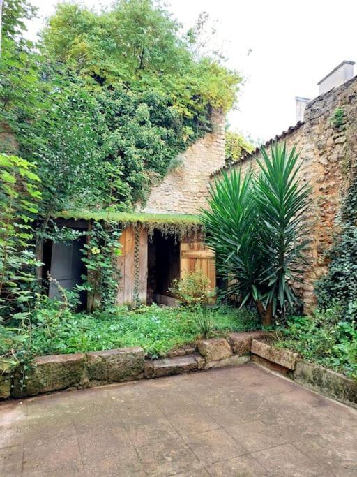 Le Patio - Cinelodge Avec Jardin Poitiers Exterior foto